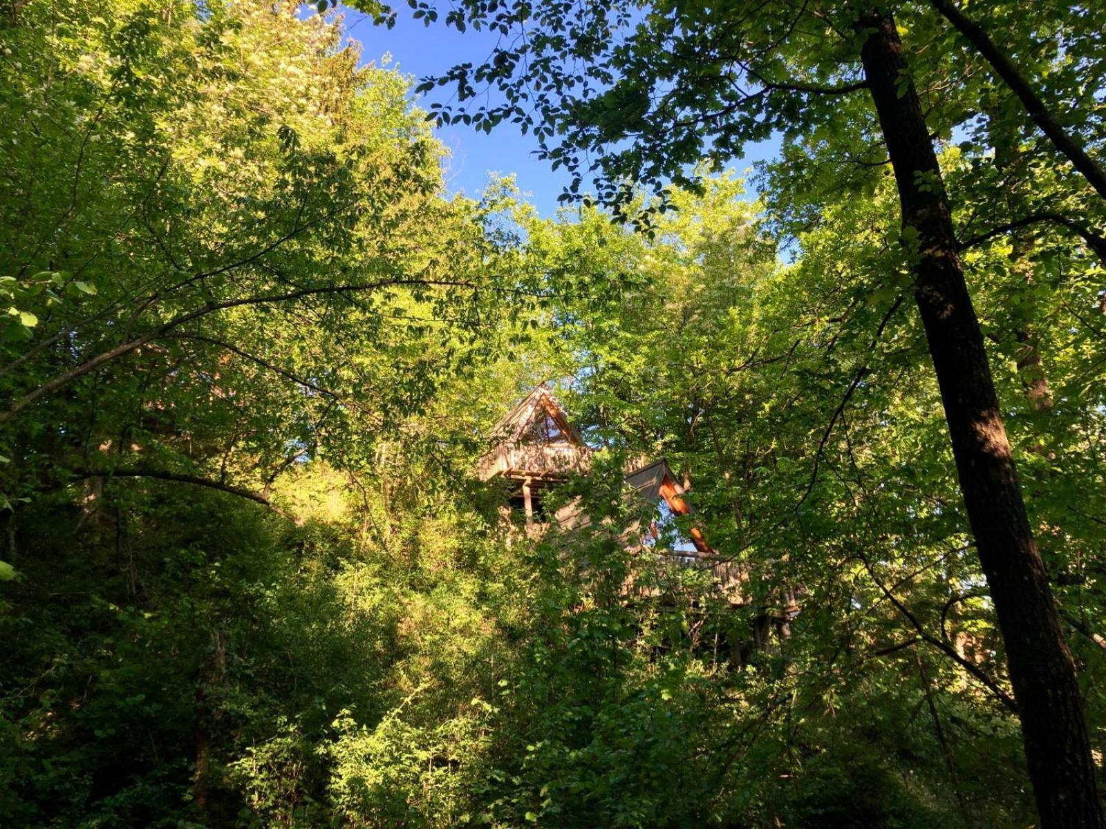Hotel Glamping Savinja Ljubno Exteriér fotografie