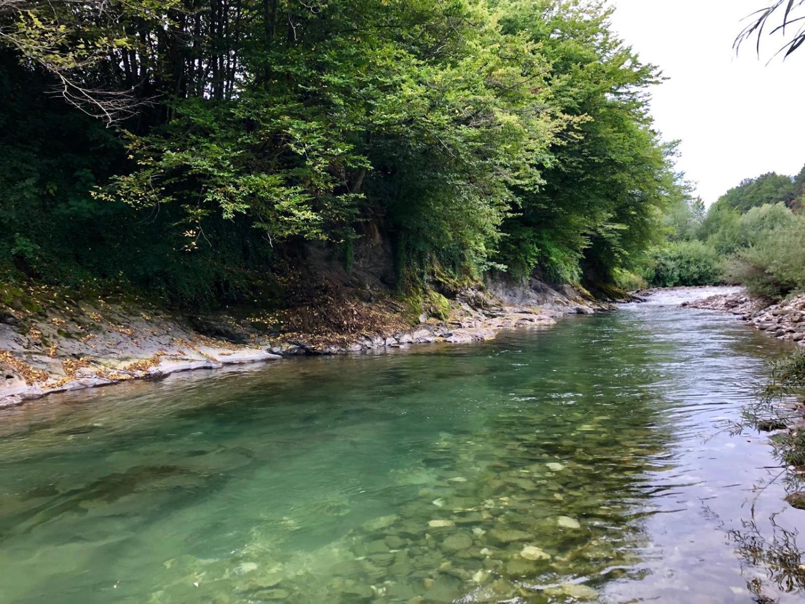 Hotel Glamping Savinja Ljubno Exteriér fotografie