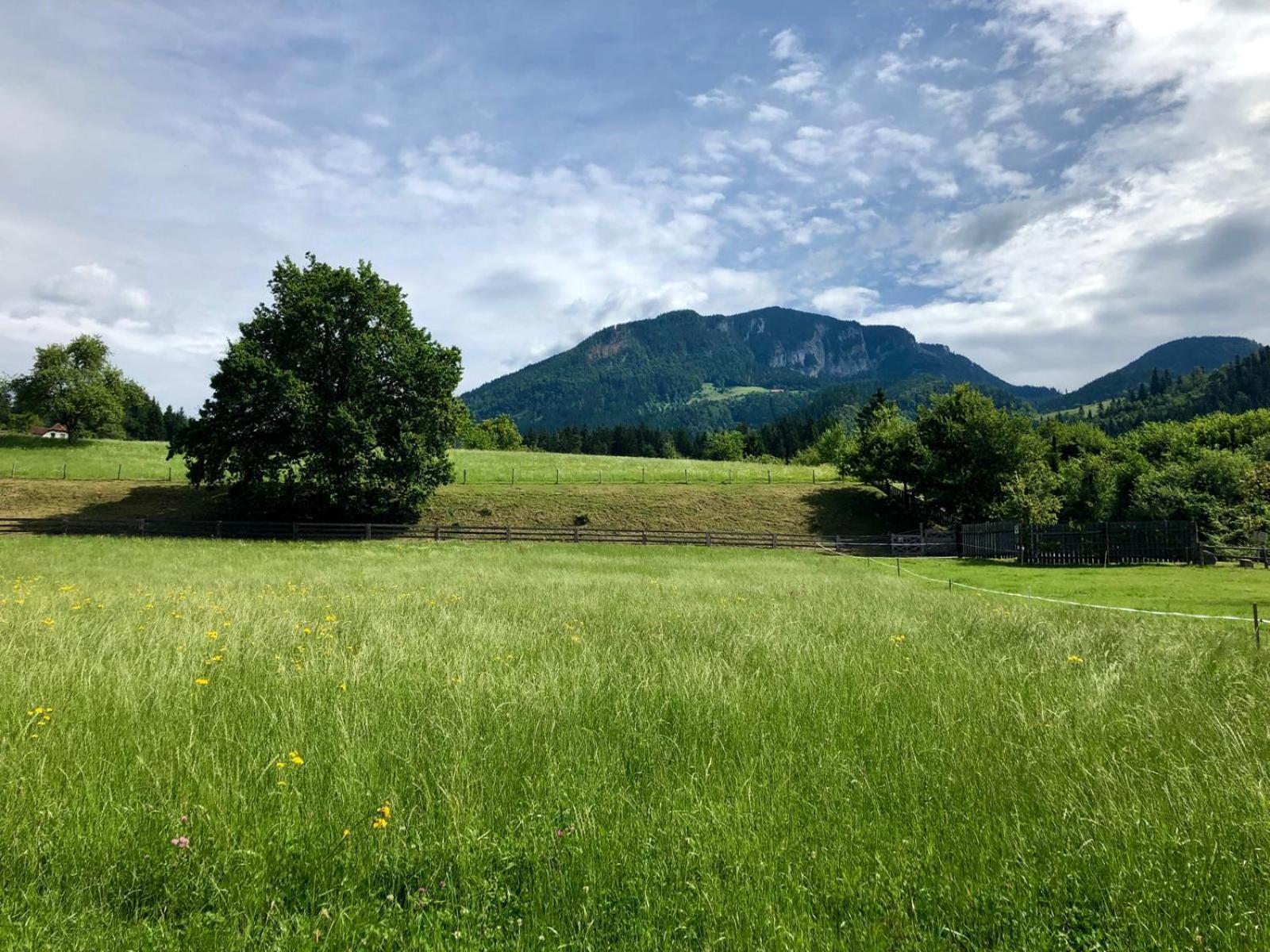 Hotel Glamping Savinja Ljubno Exteriér fotografie